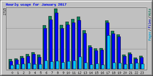 Hourly usage for January 2017