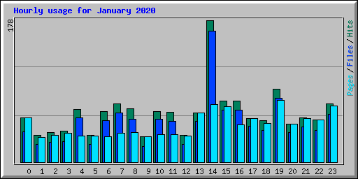 Hourly usage for January 2020