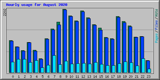 Hourly usage for August 2020