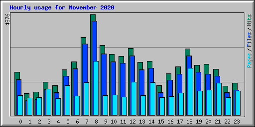 Hourly usage for November 2020