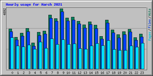 Hourly usage for March 2021