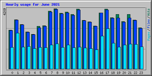 Hourly usage for June 2021