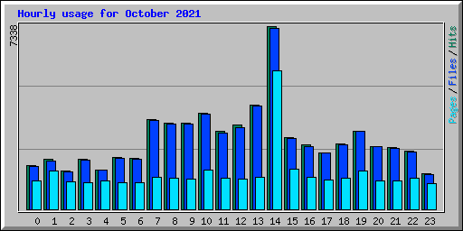 Hourly usage for October 2021