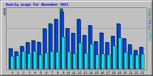 Hourly usage for November 2021