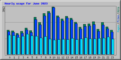 Hourly usage for June 2023