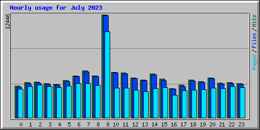 Hourly usage for July 2023