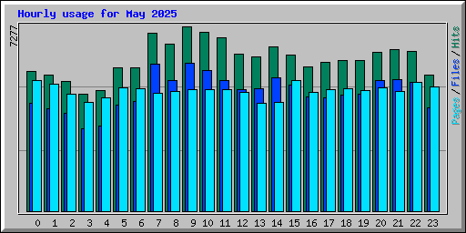 Hourly usage for May 2025