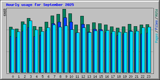Hourly usage for September 2025