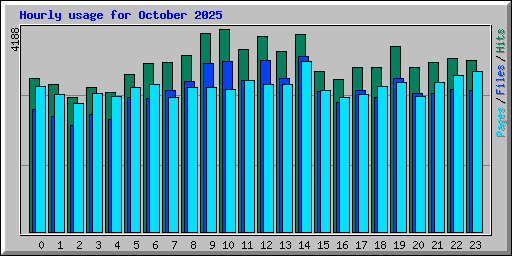 Hourly usage for October 2025