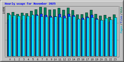 Hourly usage for November 2025