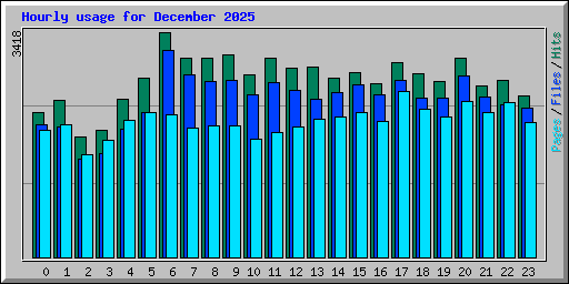 Hourly usage for December 2025